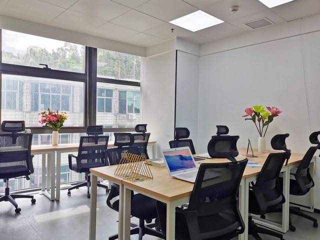 松江区学校灭鼠杀虫